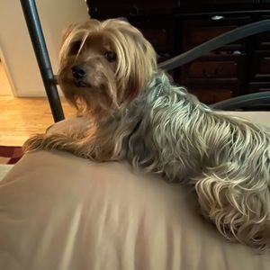 Meet your Posher, Sue